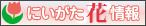 ɂԏ